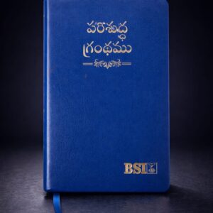 Pu leather blue colour amity bible regular size index