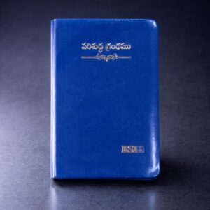 Compact (handy) bible blue amity