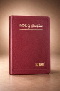 Compact index maroon bible open