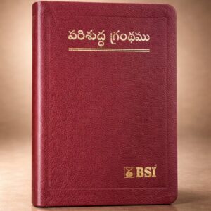 Compact index maroon bible open