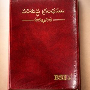 Vinyl bible medium size bsi