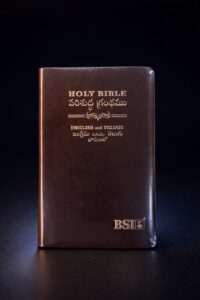Telugu and English combined bible