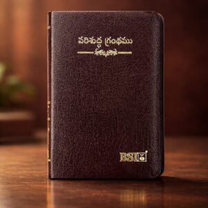 Compact size (handy) Korean printed bible old font with index open