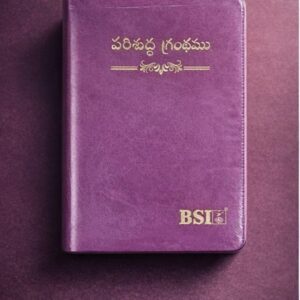 Pu leather  amity bible bible with index compact (handy) size