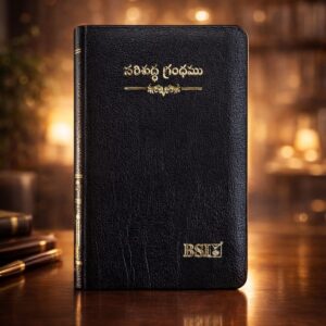 Compact size (handy) korean printed bible old font with index in black colour