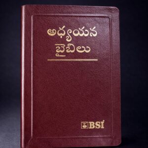 Telugu study bible leather bind