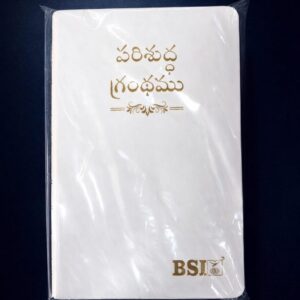 Pu leather white amity bible bible with index regular size