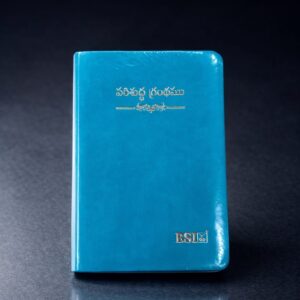 Compact (handy) bible amity