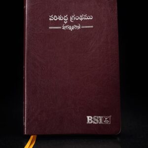 Korean printed bible in silver edge regular size pti version paper thump index