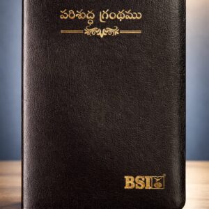 Senior citizen bible in Korean print old font with index and zip