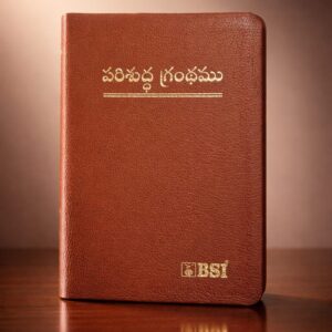 Compact (handy ) index bible brown