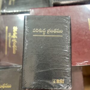 Compact(handy) size black index bible open