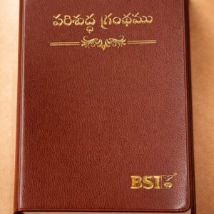 Vinyl bible in gud quality bsi medium size