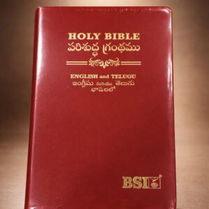 Red Telugu and english combined bible Diglot