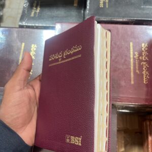 Compact (handy ) index bible brown