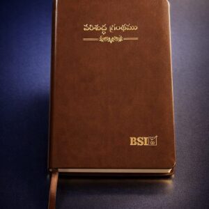 Compact (handy)bible Pu brown amity