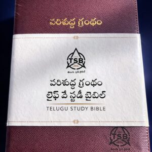 Life way study bible