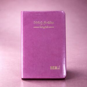 Compact (handy)bible pink amity