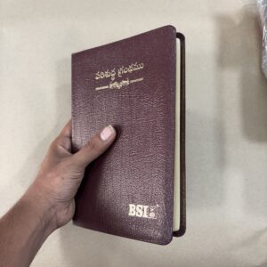 Korean printed Bible without zip old font