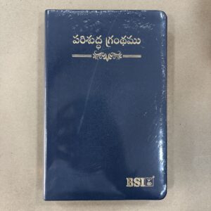 Pu leather light blue regular size amity bible with index