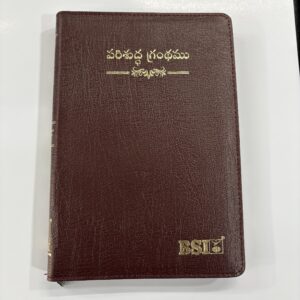 Telugu Korean printed old font regular size with zip