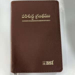 Compact(handy) size  brown index bible with zip
