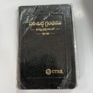 Vishista prathekatalatho bible CTBR GOLD EDGE BIBLE