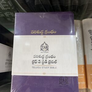 Life way study bible