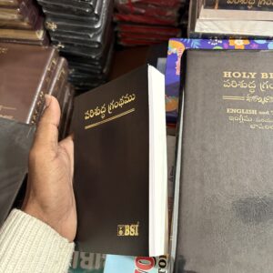 Compact (handy)size ordinary white bible