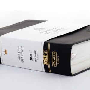 Life way study bible