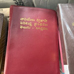 Daniel ref Telugu and English bible