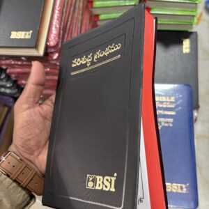 Ordinary bible regular size