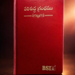 Senior citizen amity bible (పెద్ద అక్షరాలు)good quality in red colour leather
