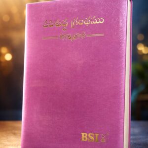 Senior citizen amity bible (పెద్ద అక్షరాలు)good quality in pink colour leather