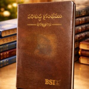Senior citizen amity bible (పెద్ద అక్షరాలు)good quality in brown colour leather