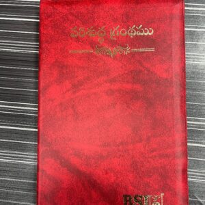 Senior citizen amity bible (పెద్ద అక్షరాలు)good quality in  leather with zip