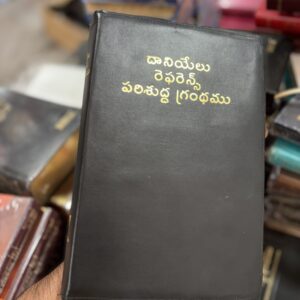 Daniel reference bible