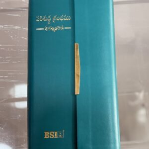Trim line bibles green