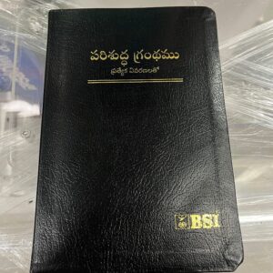 Royal (kings size )bible with special new bible (leather)