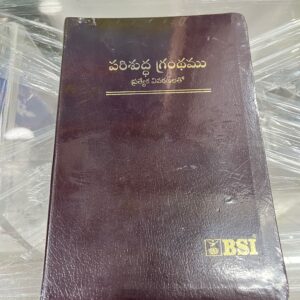 Royal (kings size )bible with special new bible (leather)