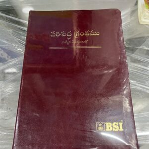 Royal (kings size )bible with special new bible (rexine leather)