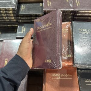 Compact index maroon with zip