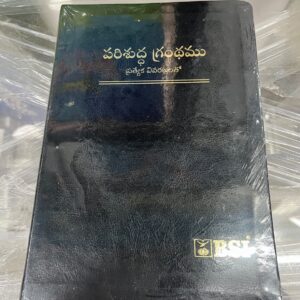 Royal (kings size )bible with special new bible (rexine leather)