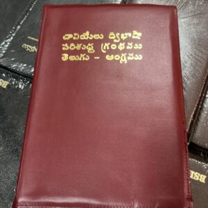 Daniel reference kjv telugu english ద్విభాషా బైబిల్