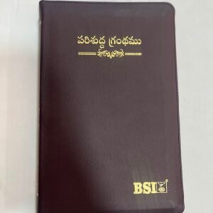 Vinyl regular size zipper bible brown