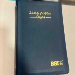Vinyl regular size zipper bible