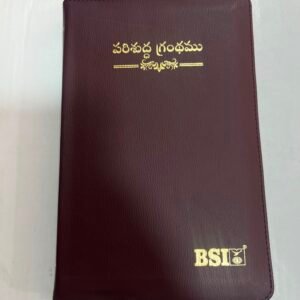 Vinyl regular size zipper bible