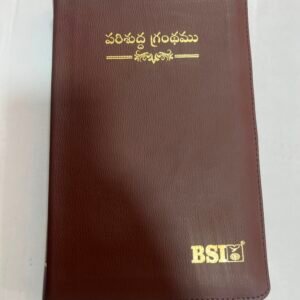 Vinyl regular size zipper bible
