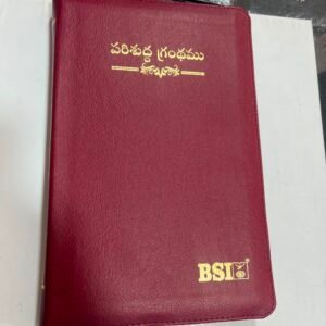 Vinyl regular size zipper bible red
