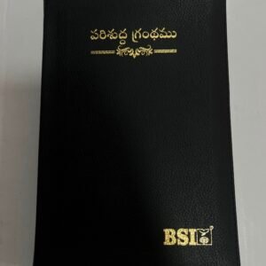 Vinyl regular size zipper bible black colour
